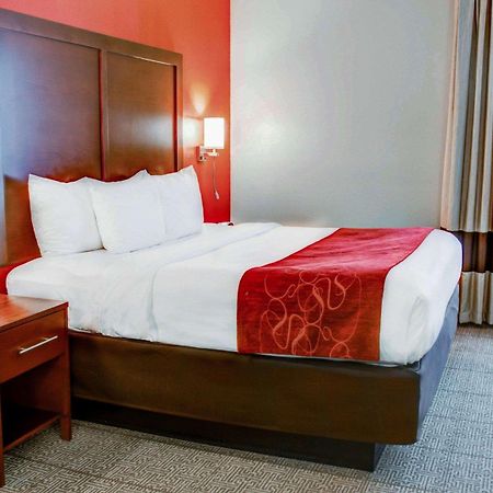 Comfort Suites Tyler South מראה חיצוני תמונה
